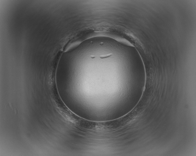 X0000073830641200608170942