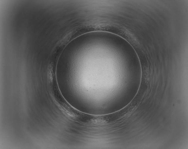 X0000073830644200608170942