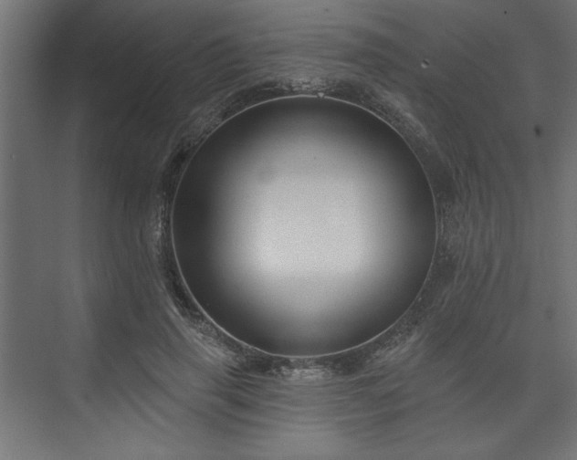 X0000073830645200608170942