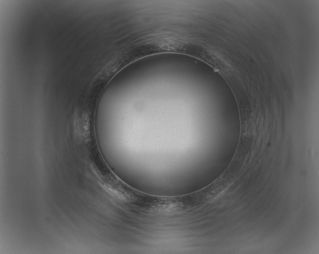 X0000073830646200608170942