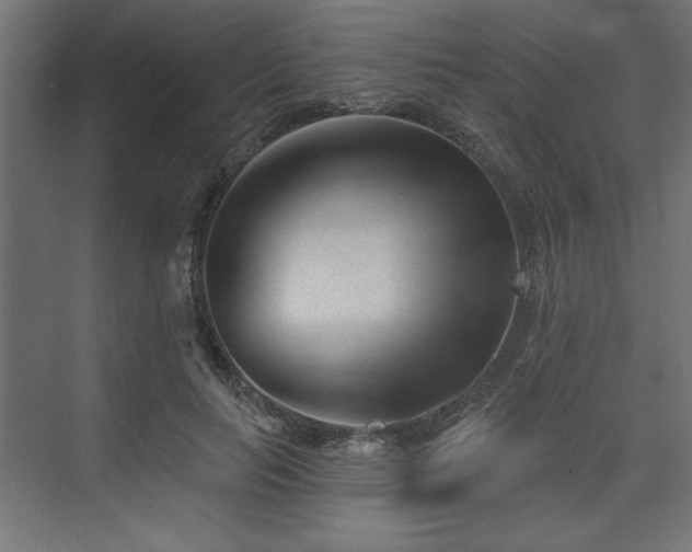 X0000073830647200608170942