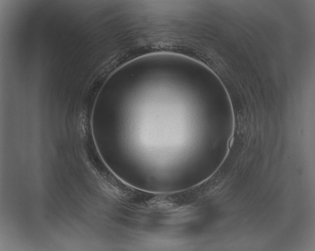 X0000073830648200608170942