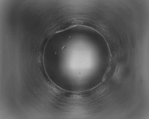 X0000073830649200608170942