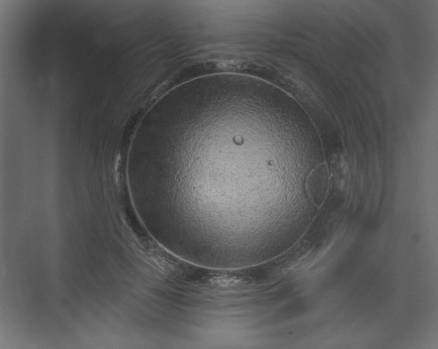 X0000073830650200608170942