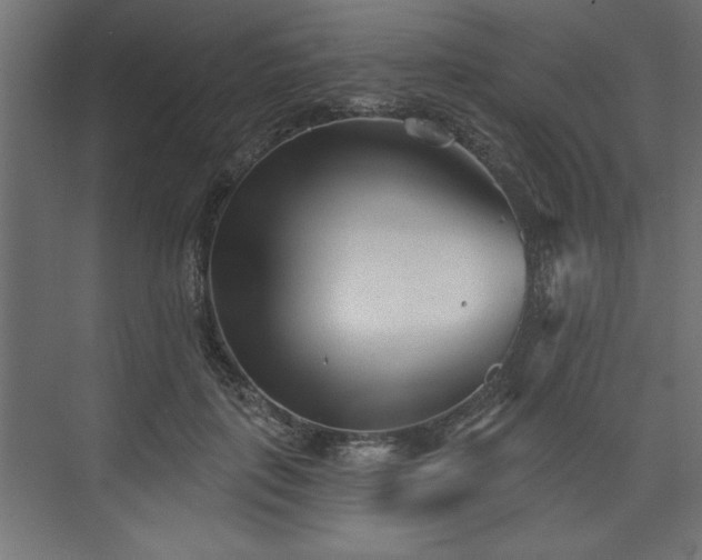 X0000073830651200608170942