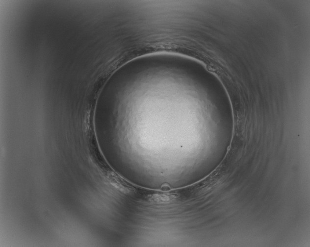 X0000073830652200608170942