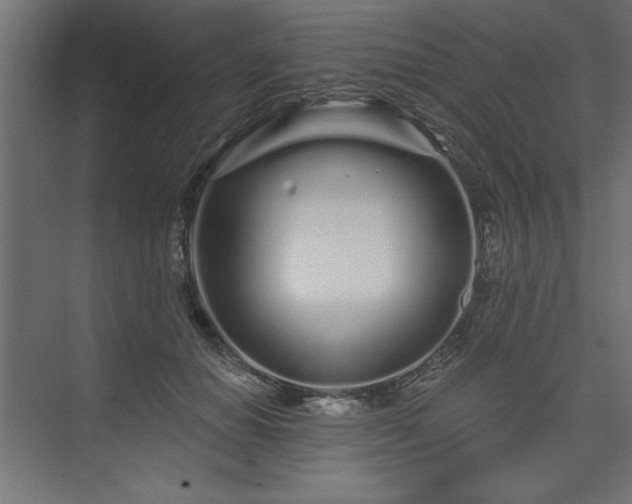 X0000073830654200608170942