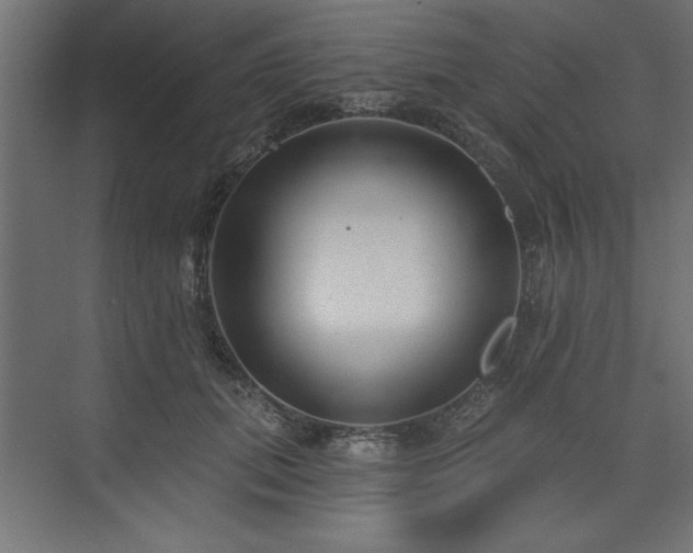 X0000073830655200608170942