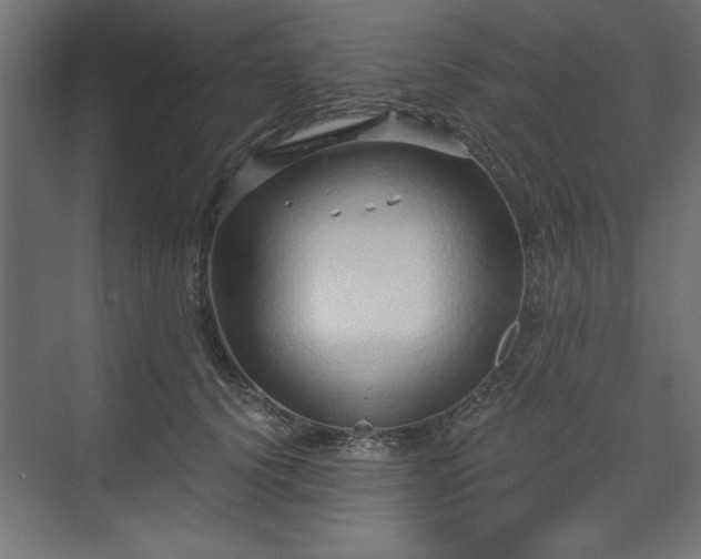 X0000073830656200608170942