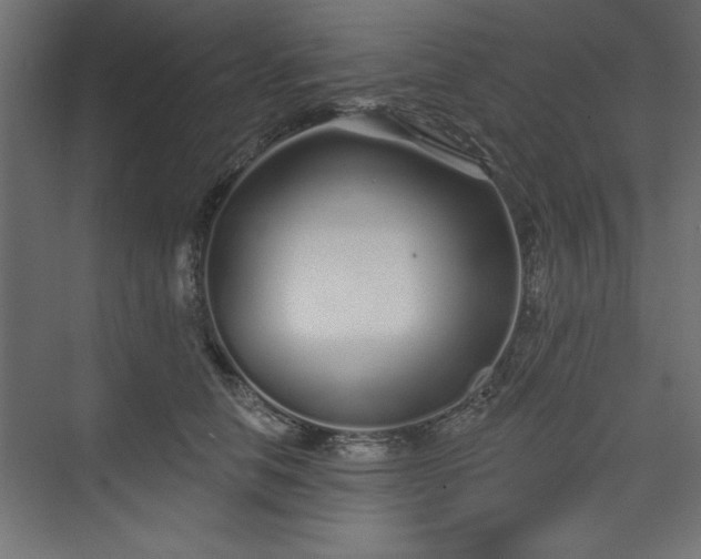 X0000073830658200608170942