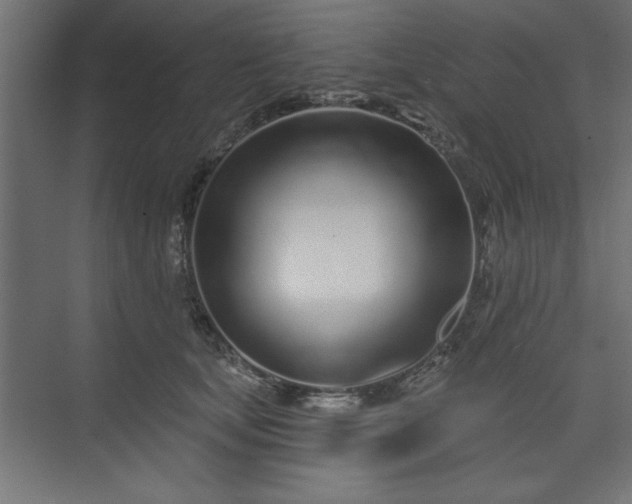 X0000073830659200608170942