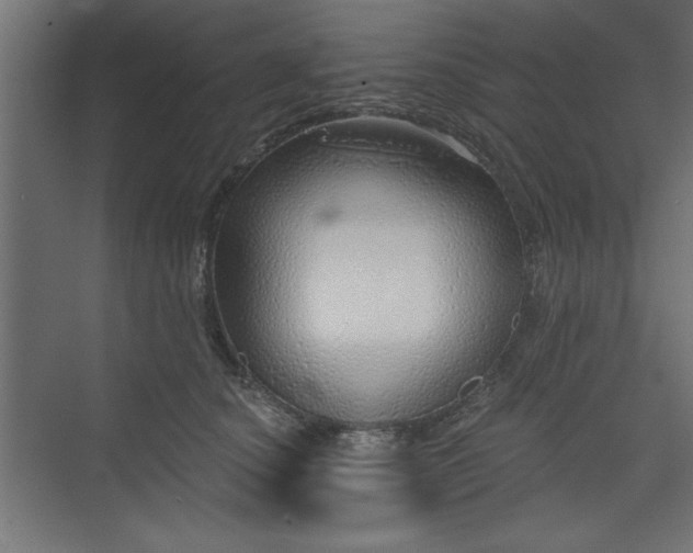 X0000073830660200608170942