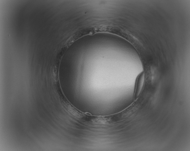 X0000073830661200608170942