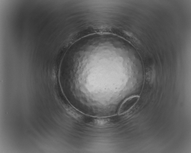 X0000073830662200608170942