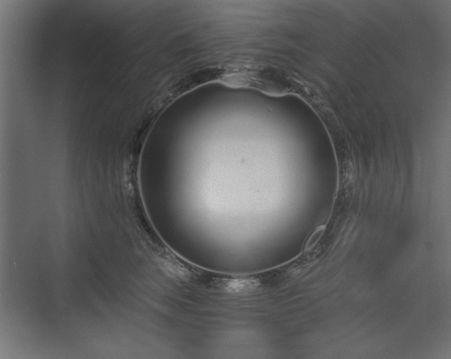 X0000073830663200608170942