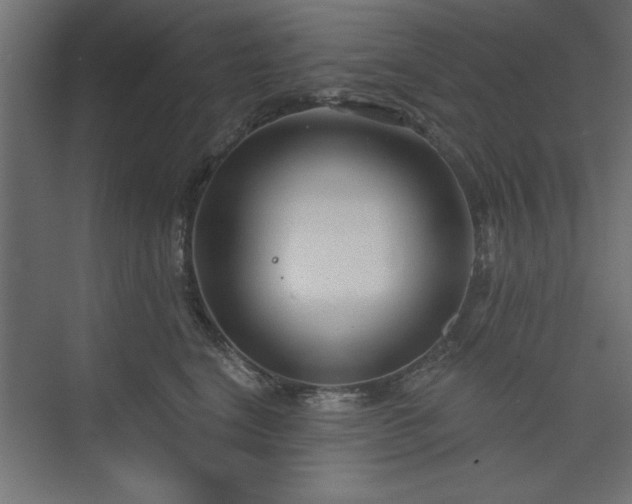 X0000073830664200608170942