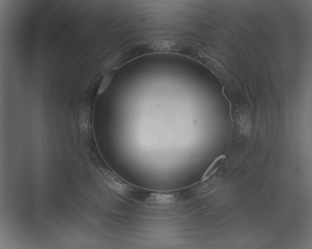 X0000073830665200608170942