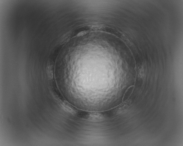 X0000073830666200608170942