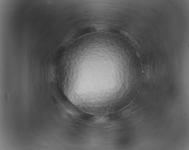 X0000073830667200608170942