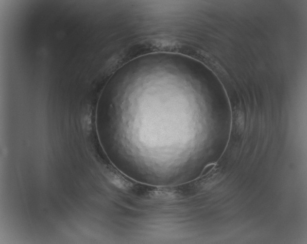 X0000073830668200608170942