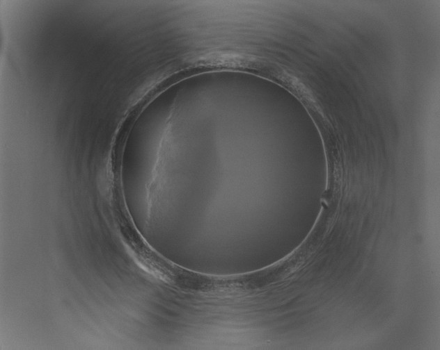 X0000073830674200608170942