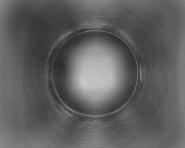 X0000073830675200608170942