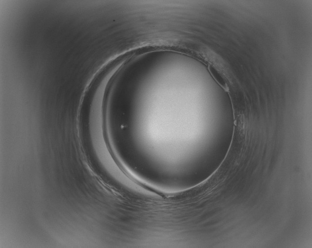 X0000073830676200608170942