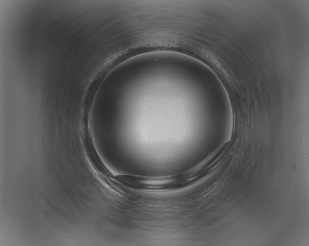 X0000073830677200608170942