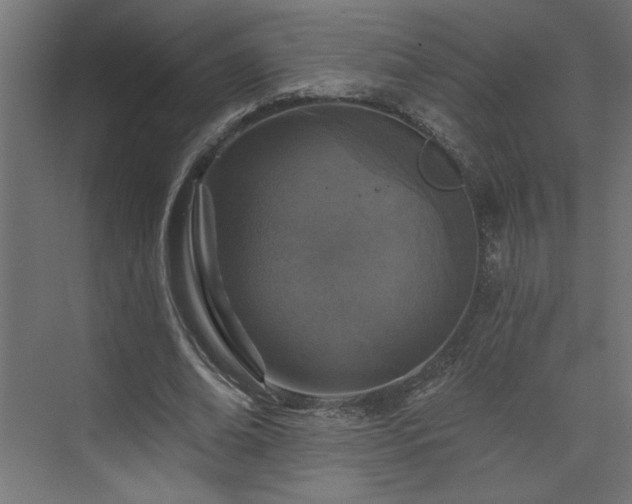 X0000073830678200608170941