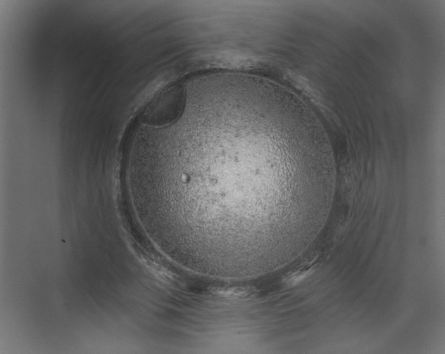 X0000073830679200608170941