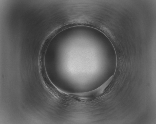 X0000073830680200608170941