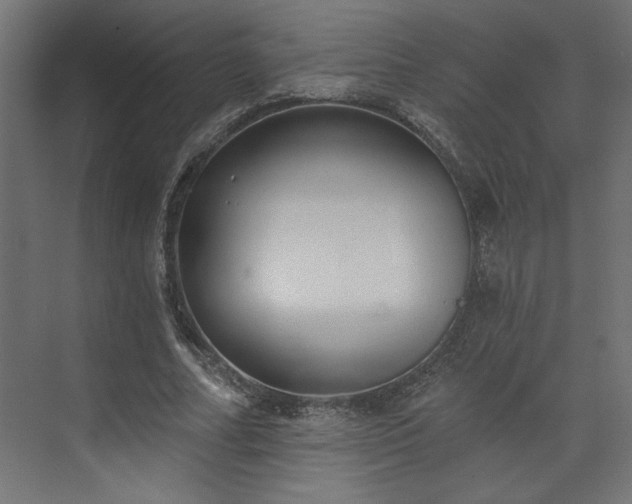 X0000073830682200608170941