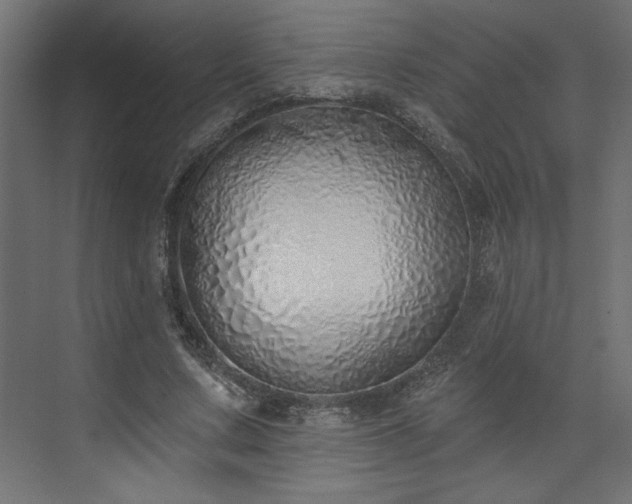 X0000073830683200608170941