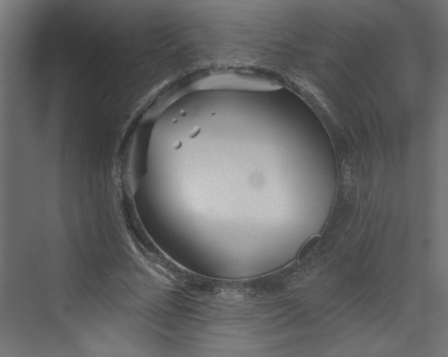 X0000073830684200608170941