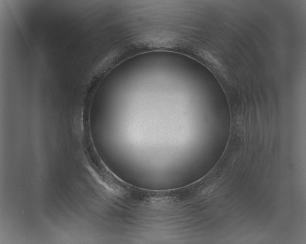 X0000073830686200608170941