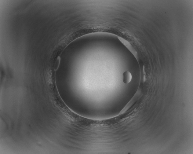 X0000073830689200608170941