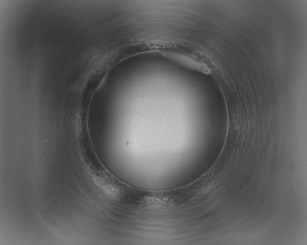 X0000073830690200608170941