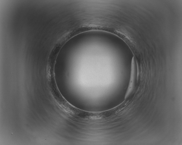 X0000073830692200608170941