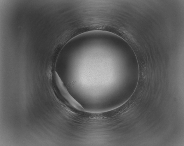 X0000073830693200608170941