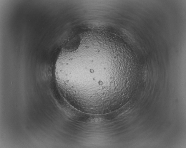 X0000073830695200608170941