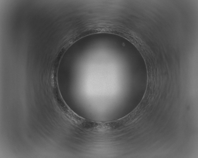 X0000073830696200608170941