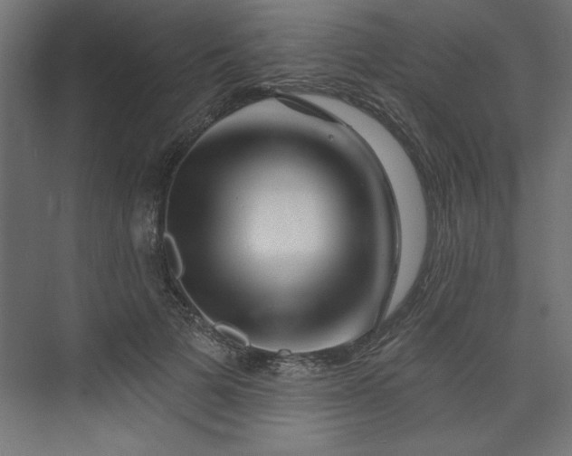 X0000073830697200608170941