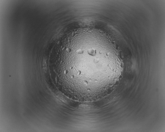 X0000073830699200608170941