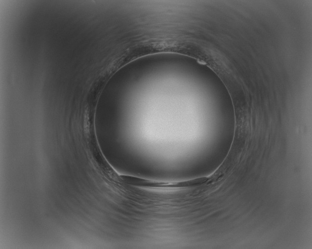 X0000073830700200608170941