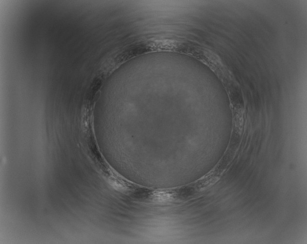 X0000073830701200608170941