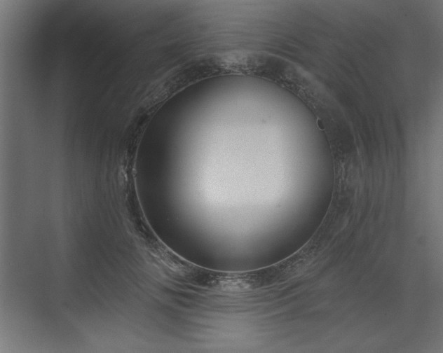 X0000073830702200608170941