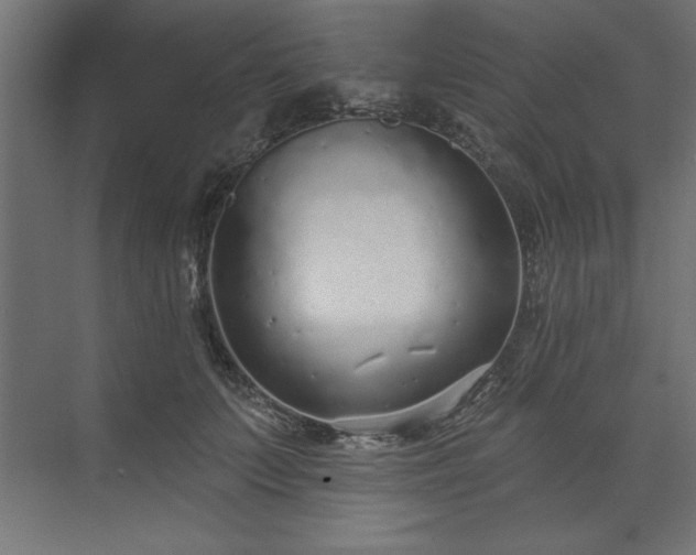 X0000073830703200608170941