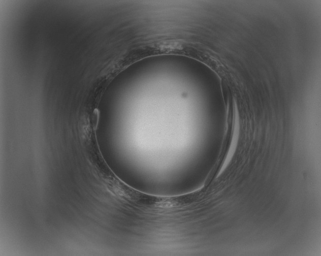 X0000073830704200608170941