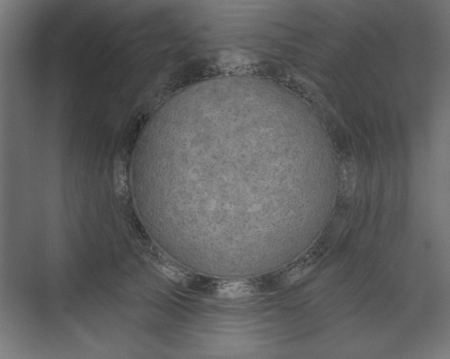 X0000073830705200608170941