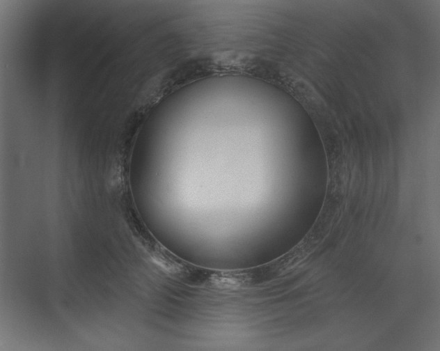 X0000073830706200608170941